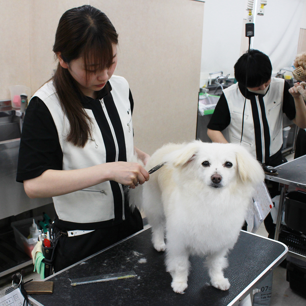 今日もかわいいお客様！